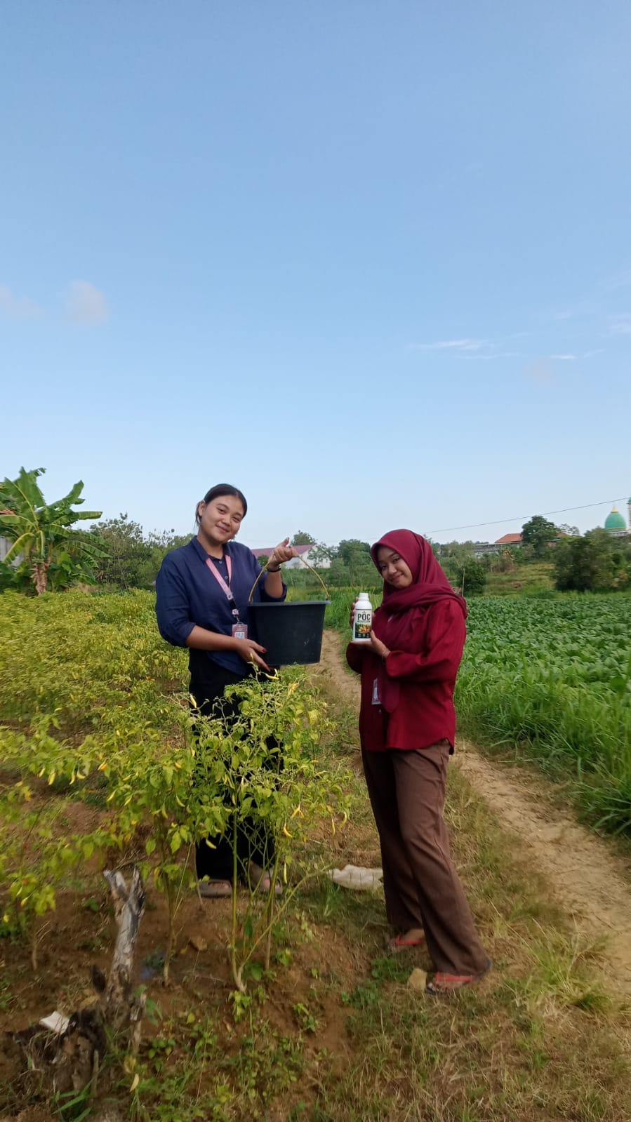KKN UTM Kelompok 23 Dorong Pemanfaatan Limbah Organik Melalui Pembuatan POC